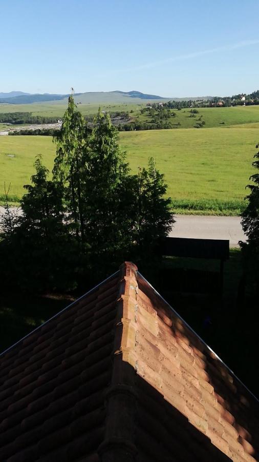 Villa Planinska Kuca Sa Dvoristem Zlatibor Esterno foto