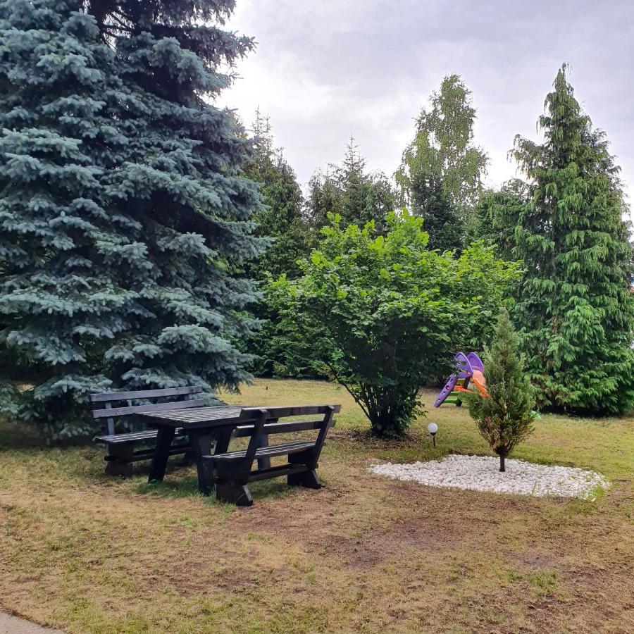 Villa Planinska Kuca Sa Dvoristem Zlatibor Esterno foto